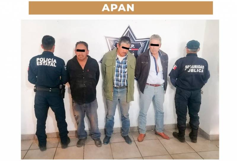 Policías recuperan ganado robado y detienen a 3 en Apan