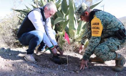 Reforestan Pachuca con 3 mil árboles más