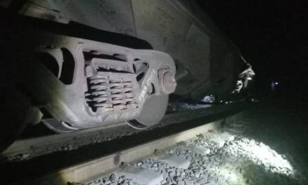 Sujetos armados descarrilan tren en Tepetitlán