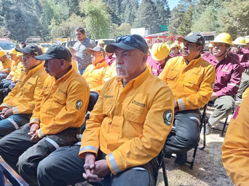 Ponen en marcha comité para atender incendios forestales