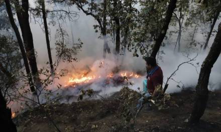 Al menos 6 incendios forestales en territorio hidalguense