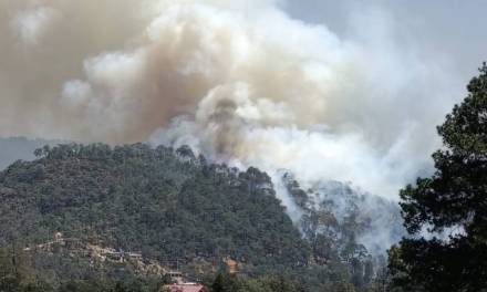 Incendio activo en Parque Nacional El Chico