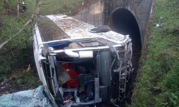 Chocan automóvil y autobús sobre la México-Tuxpan