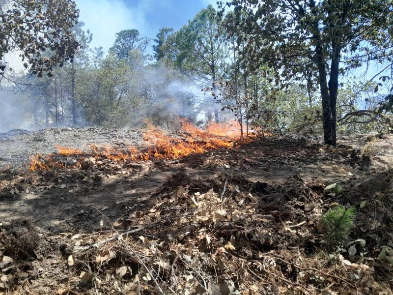 Reportan 4 muertos en combate a 116 incendios forestales en el país