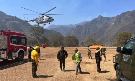 Aplican Plan DN-III-E por incendio forestal en Nicolás Flores