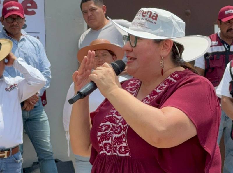 Hidalgo debe contar con políticas para atender a animales callejeros: Tania Meza