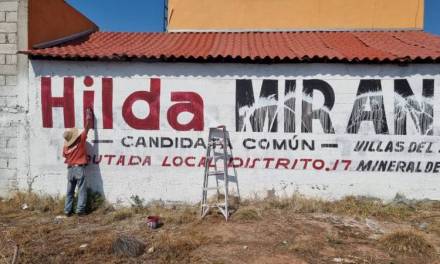 Vandalizan bardas de Hilda Miranda