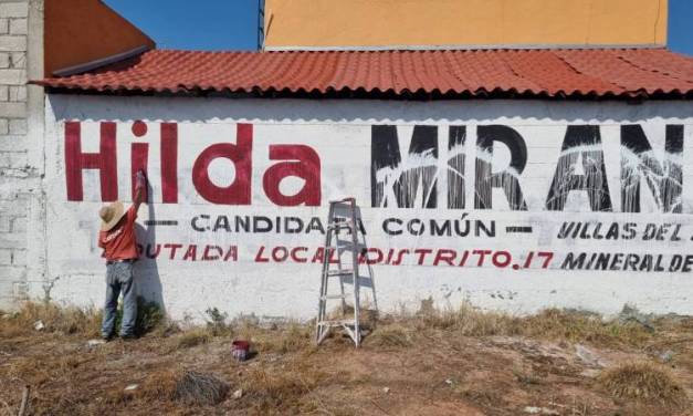 Vandalizan bardas de Hilda Miranda