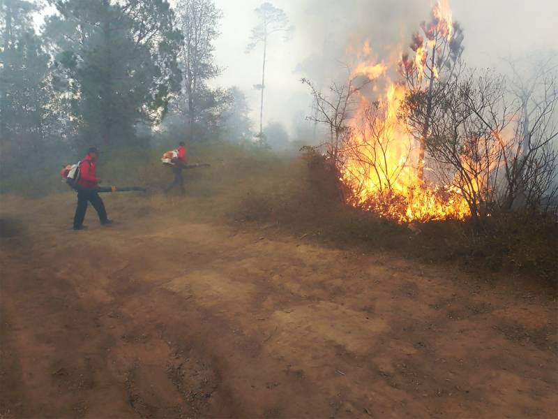 Se reaviva incendio forestal en Tenango de Doria