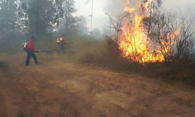 Avanza control de incendios en Tutotepec y Tenango