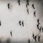 Van más de 25 casos de dengue en el estado