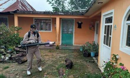 Van 33 casos de dengue en la Huasteca