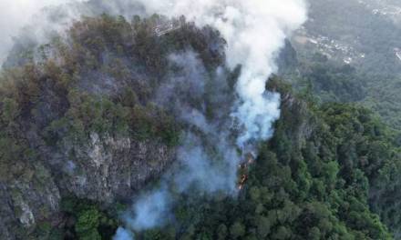 Trabajan por controlar incendio forestal en Tenango de Doria