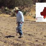 Ya son 46 municipios con sequía excepcional