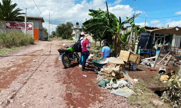 Van 29 casos de dengue en el estado