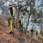 Ejército y GN han sofocado 38 incendios forestales