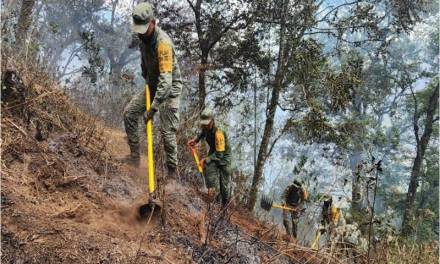 Ejército y GN han sofocado 38 incendios forestales