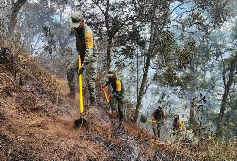 Ejército y GN han sofocado 38 incendios forestales