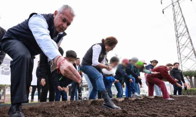 Siembran semillas de flor de cempasúchil en huerto urbano de Pachuca