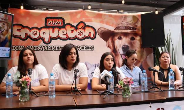 Pretenden recolectar hasta 5 toneladas de croquetas