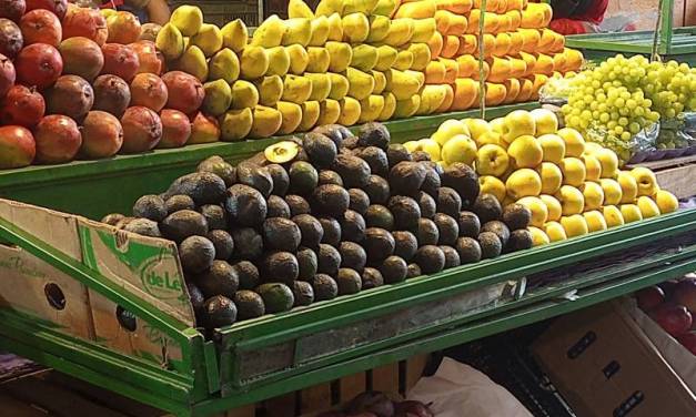 Aguacate se vende hasta en 100 pesos por kilo