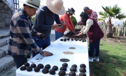 Reforestan zonas dañadas por incendios forestales