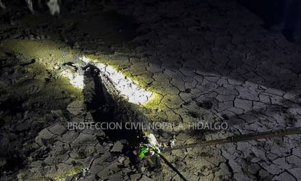 Protección Civil captura cocodrilo en Nopala