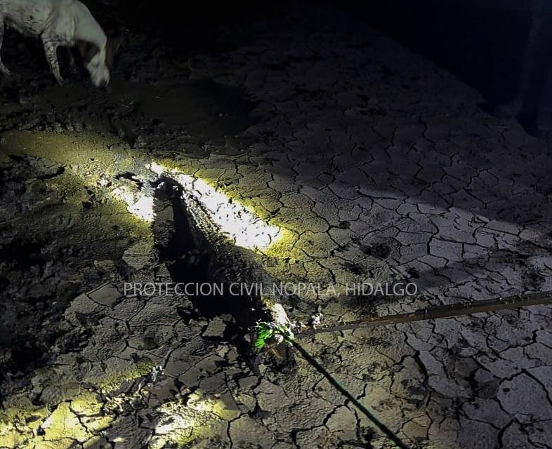 Protección Civil captura cocodrilo en Nopala