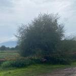 Cae rayo a mujer y muere debajo de un árbol