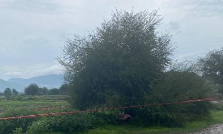 Cae rayo a mujer y muere debajo de un árbol