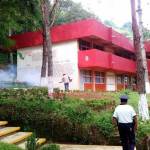 Reportan 200 casos de dengue en territorio hidalguense