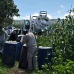 Decomisan 2 mil 300 litros de huachicol en Cuautepec