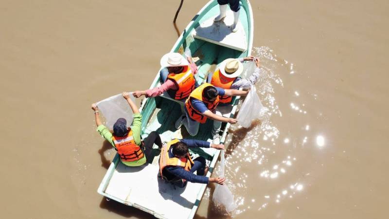 Se recuperan la producción pesquera en presas y lagunas de Hidalgo