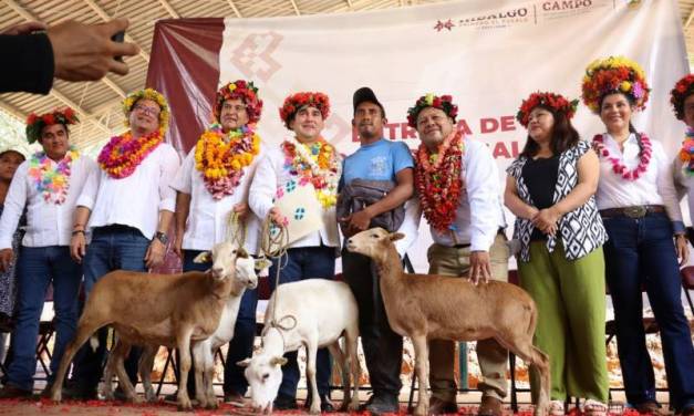 En gira por la Huasteca entregan apoyos al sector agropecuario