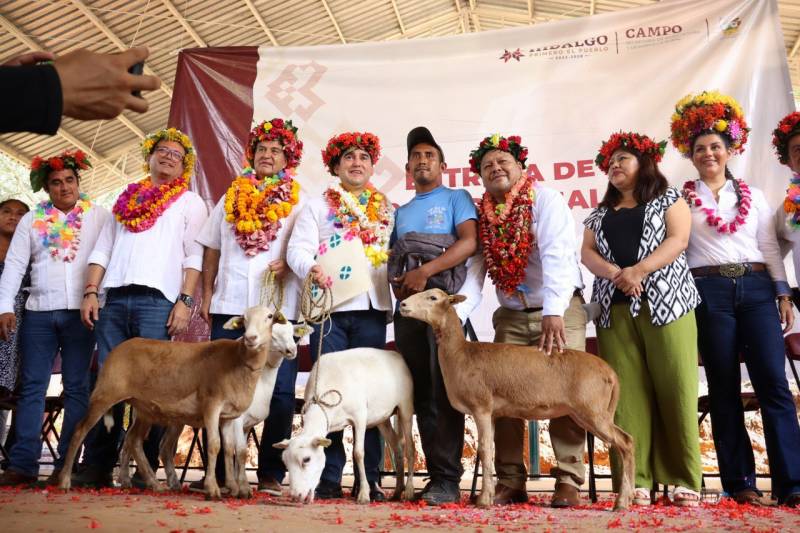 En gira por la Huasteca entregan apoyos al sector agropecuario