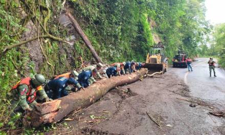 Realizan labores de limpieza en municipios tras inundaciones