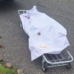 Hallan persona sin vida en Tepeji del Río