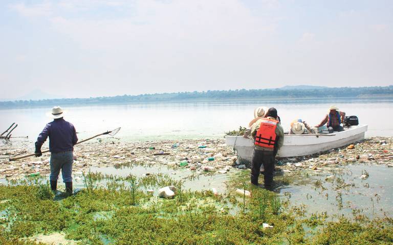 Restauración ambiental en Presa Endhó podría llevarse hasta 12 años