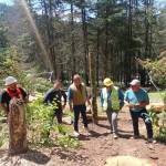 Semarnath prioriza reforestación y ecosistemas naturales