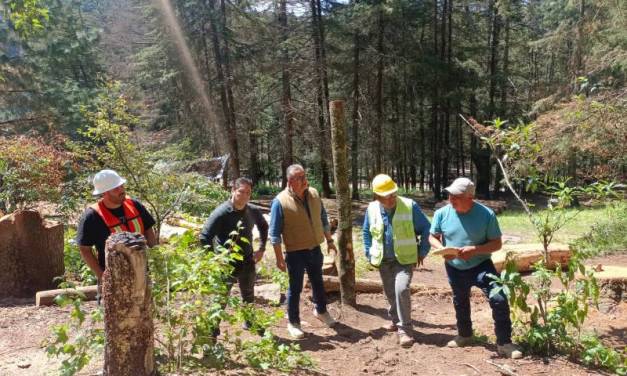 Semarnath prioriza reforestación y ecosistemas naturales