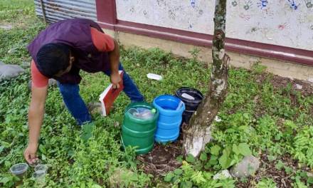 En Hidalgo se registraron más de mil casos de dengue