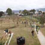 Se rescata cancha de béisbol de la Unidad Deportiva Municipal