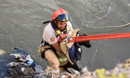 Rescatan a perrito que cayó al Río Tula