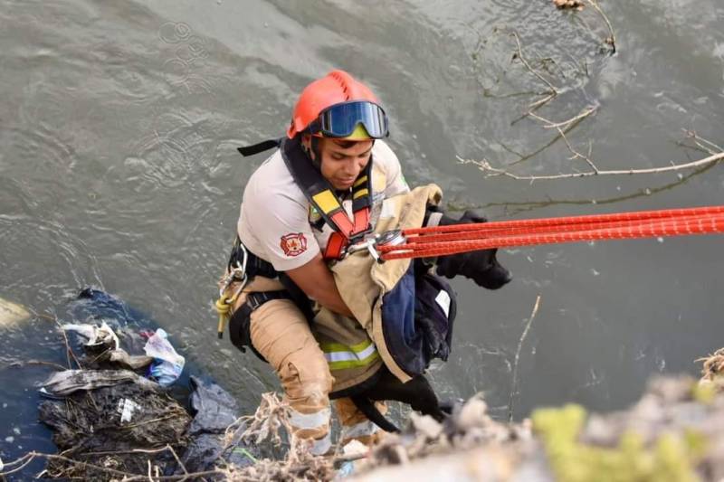 Rescatan a perrito que cayó al Río Tula