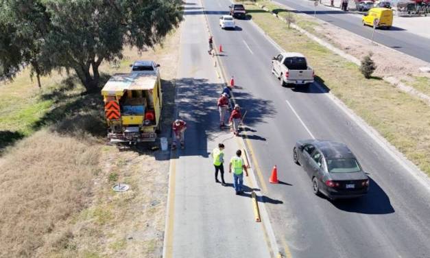 Reinstalan bolardos en carril confinado del Tuzobús