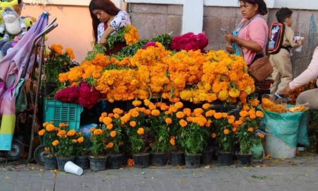 La cempasúchil, flor más vendida en Día de Muertos