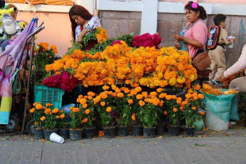 La cempasúchil, flor más vendida en Día de Muertos