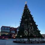 Árbol navideño será encendido el 4 de diciembre