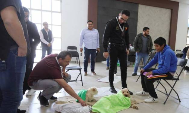 Dan inicio 1400 esterilizaciones para lomitos y michis en Pachuca