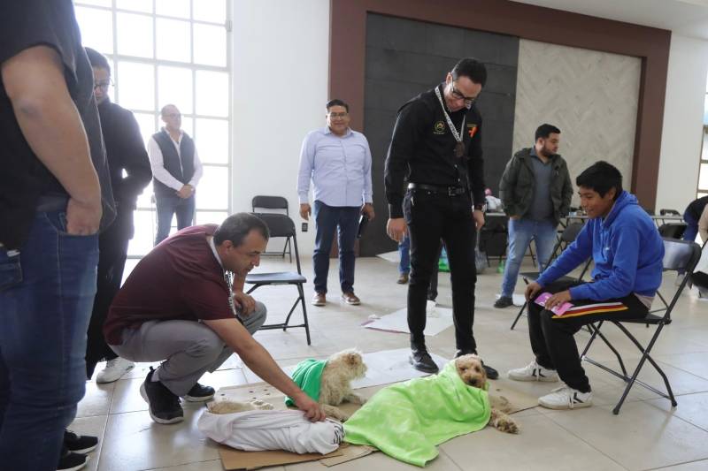 Dan inicio 1400 esterilizaciones para lomitos y michis en Pachuca